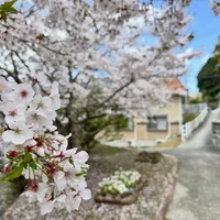 画像353