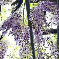 画像363